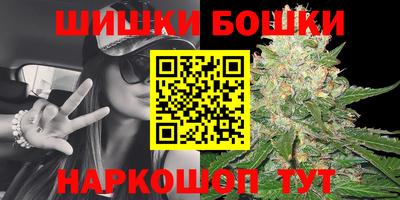 индика Рязань
