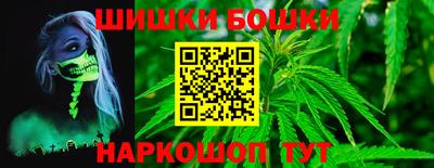 индика Пугачёв