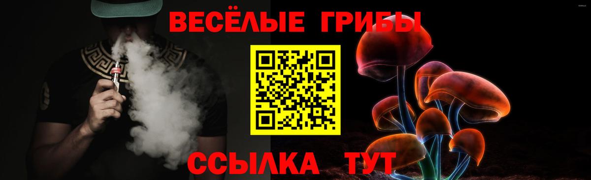 Самара  Галлюциногенные грибы прущие грибы  Галлюциногенные грибы мицелий  Вход с VPN 